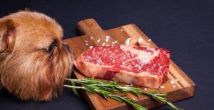 Can Dogs Eat Steak